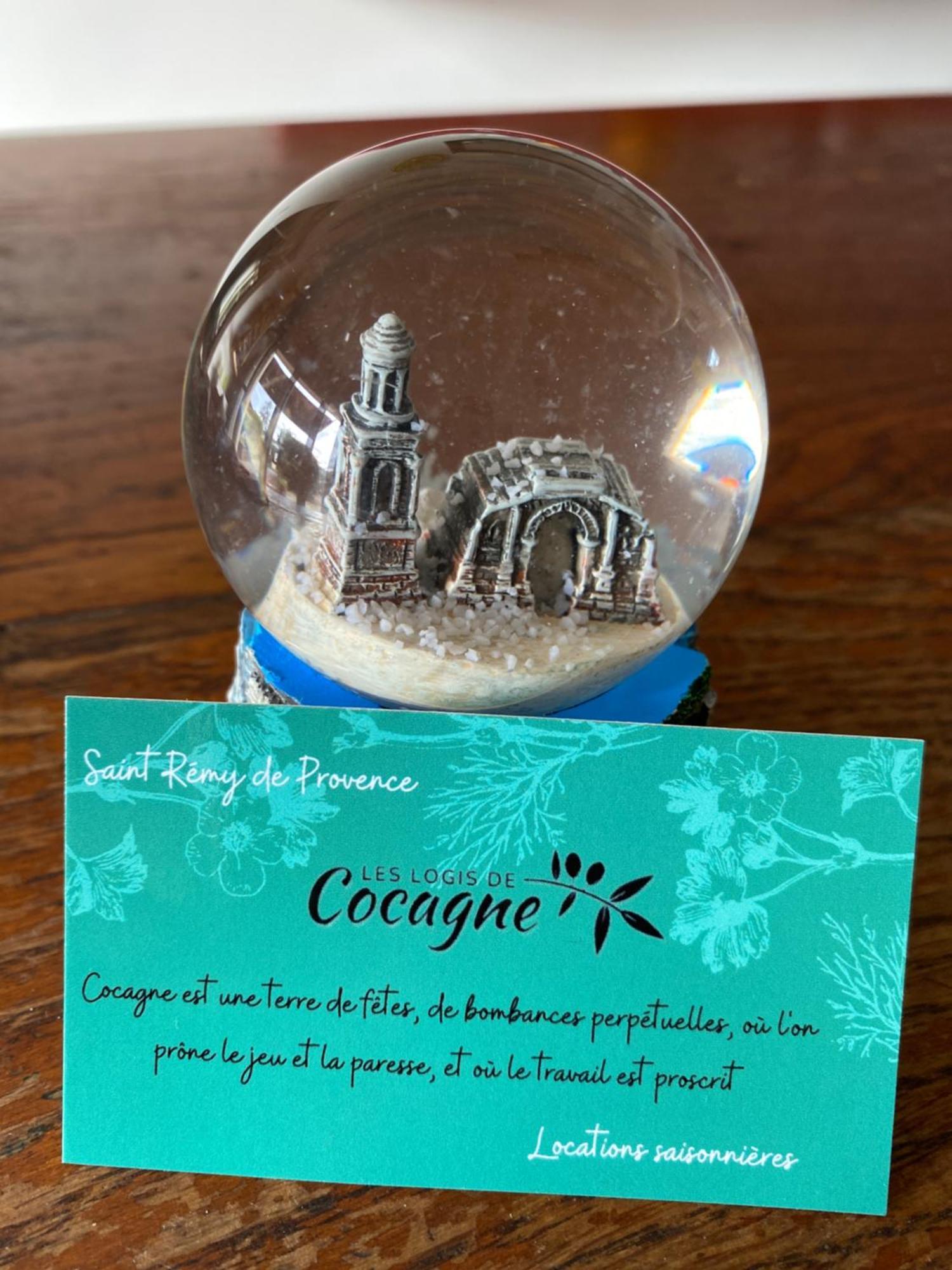 Saint-Rémy-de-ProvenceLes Logis De Cocagne公寓 外观 照片